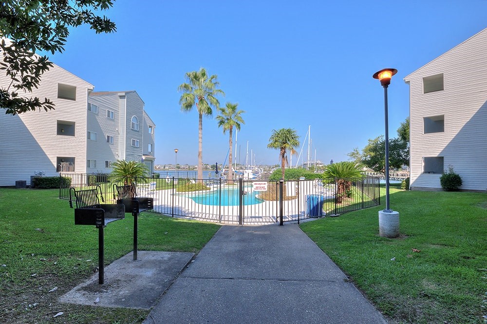 A swimming pool is surrounded by a fence and a few palm trees.