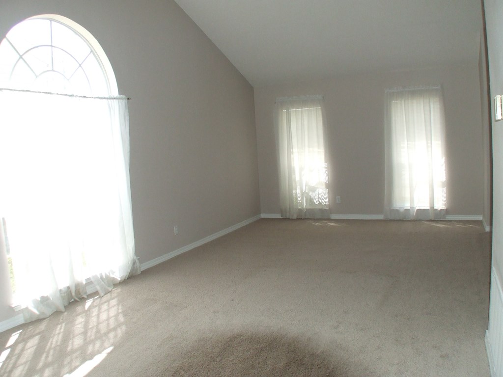 A sunny room with a carpet and two windows.
