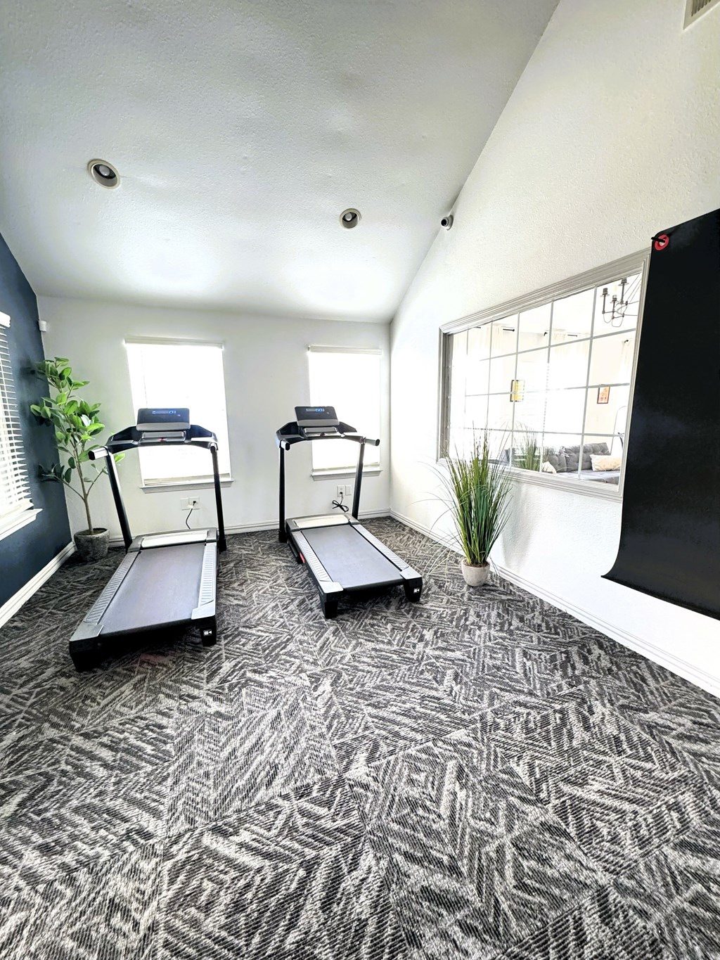 A white closet with shelves and a carpeted floor.