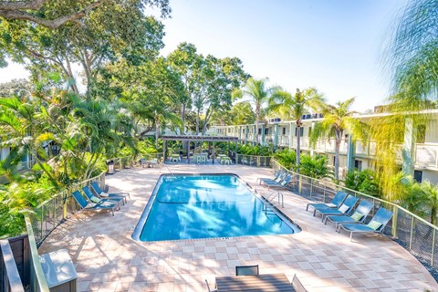 A large outdoor swimming pool surrounded by trees and lounge chairs.