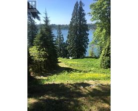 A serene landscape with a lake, trees, and a clear sky.