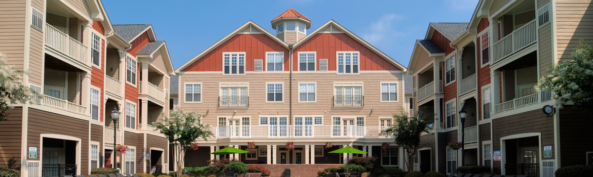 Raleigh banner 1
