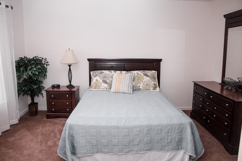 a bedroom with a bed and dressers and a potted plant