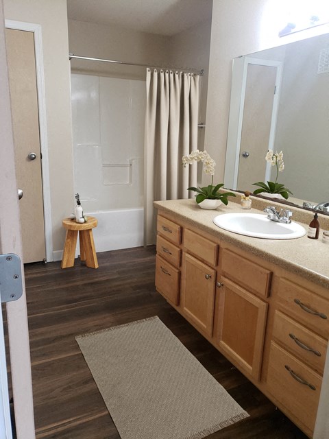 a bathroom with a sink and a shower and a mirror