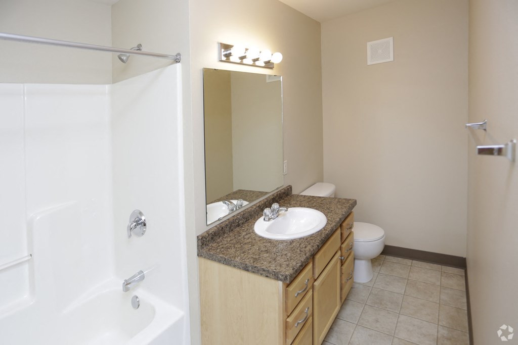 a bathroom with a sink and a shower and a toilet