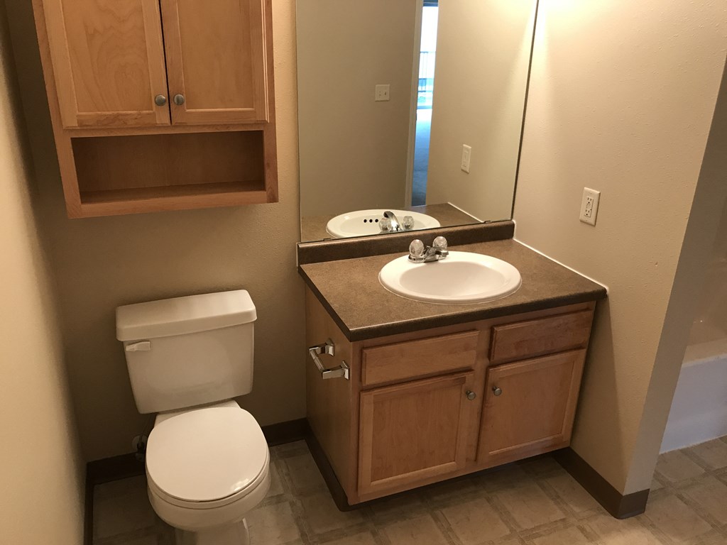 a bathroom with a sink toilet and a mirror