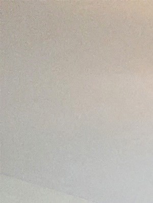 a bedroom with a bed and a ceiling fan