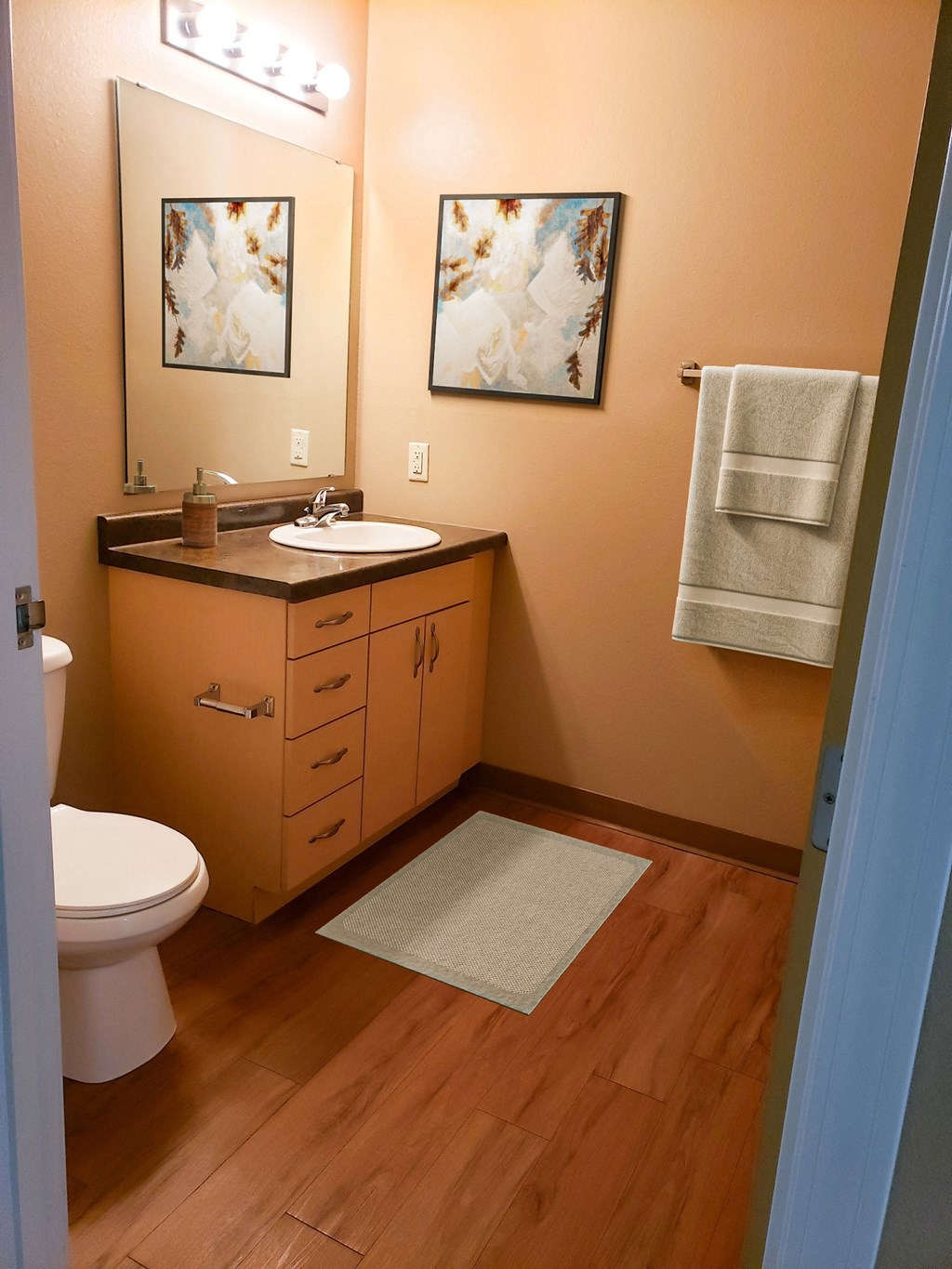 a bathroom with a sink and a toilet