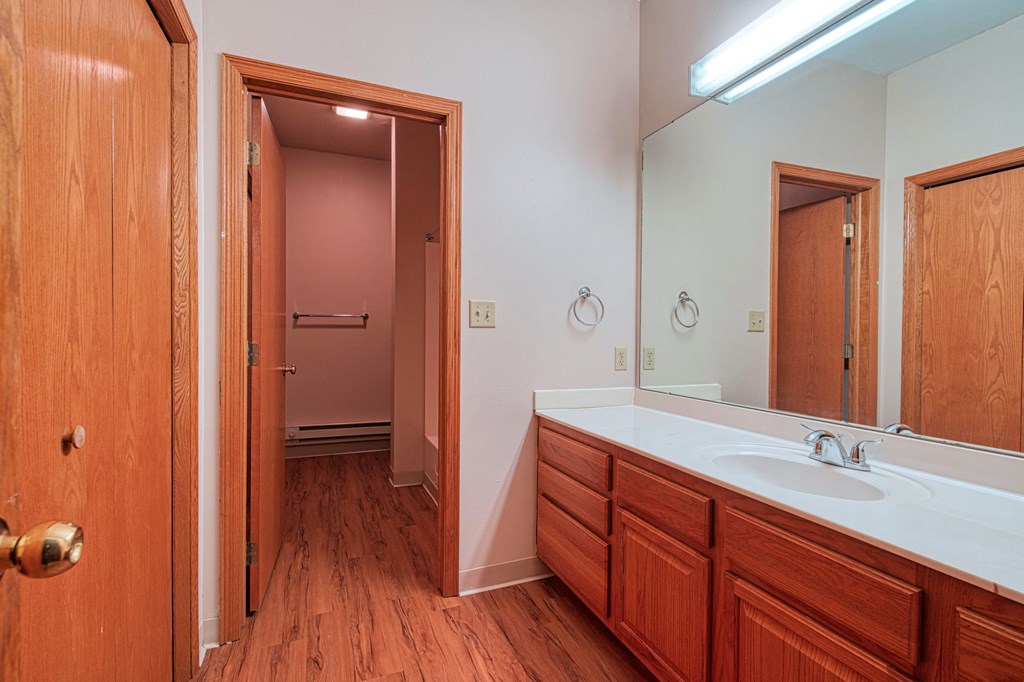 a bathroom with a sink and a mirror