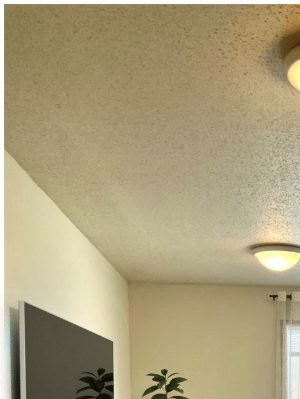 Bedroom 1 - Photo Gallery 5