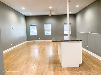 2020 N. Bissell St. 2-3 Beds Apartment for Rent - Photo Gallery 2