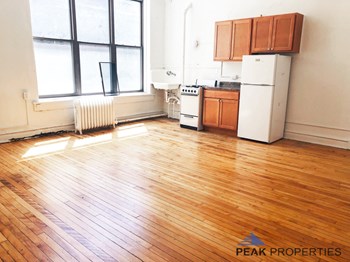 245 W. North Ave. Studio Apartment for Rent - Photo Gallery 2