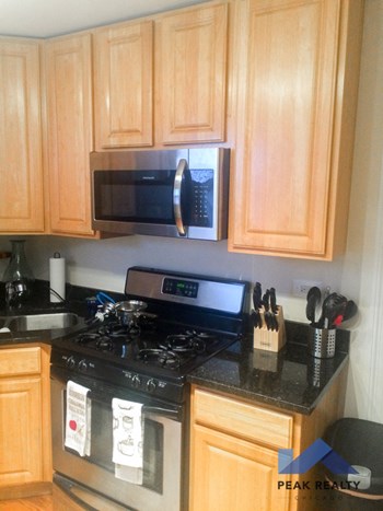 7328-36 N. Winchester Ave. 3 Beds Apartment for Rent - Photo Gallery 2