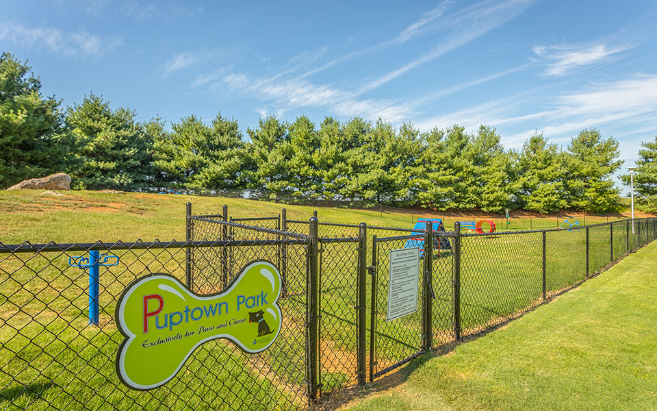 a city with a dog park and a sign on the fence