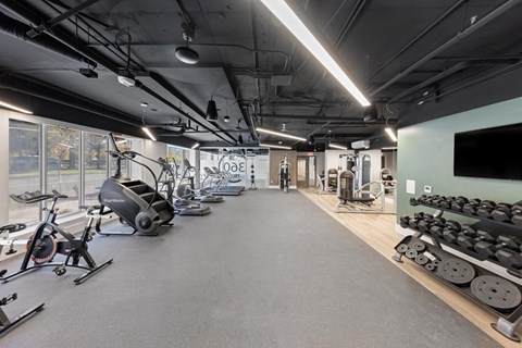 the gym is equipped with state of the art gym equipment and weights