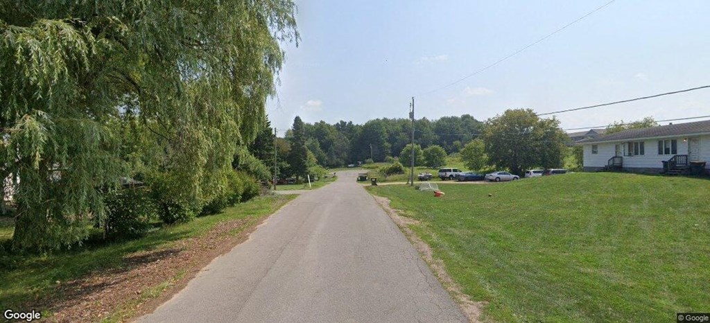 A street view of a residential area with houses on the right and trees on the left.