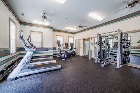 a gym with cardio equipment and weights on the floor and windows