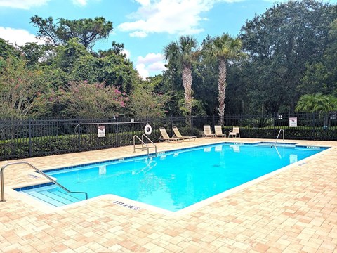 A pool surrounded by trees and a black fence.