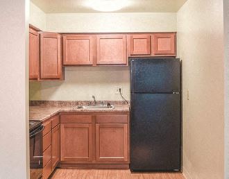 a kitchen with a black refrigerator and a sink