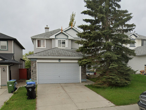 A grey house with a grey garage door and a tree in front.