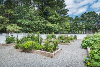 Community Garden