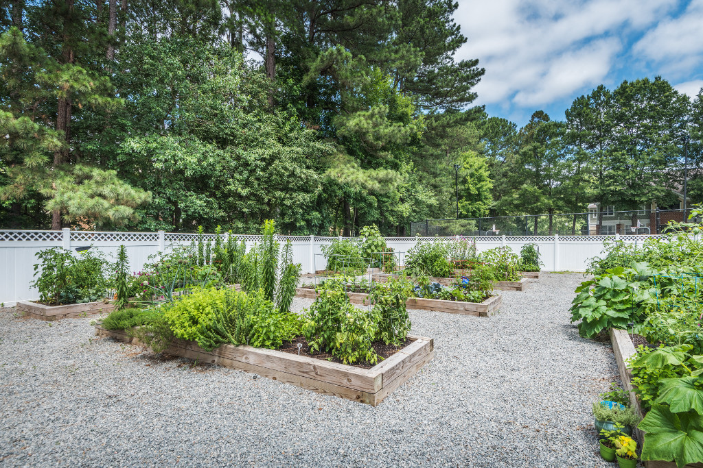 a garden with plants in wooden boxes in front of a fence