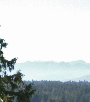 Cheap Apartments In Silverdale Wa Cheap Apartments In Silverdale Wa