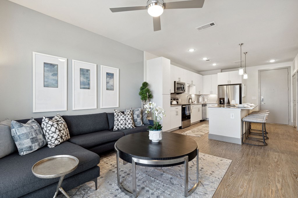 Furnished living room, Ironcrest, Ironcrest, North Richland Hills, Texas