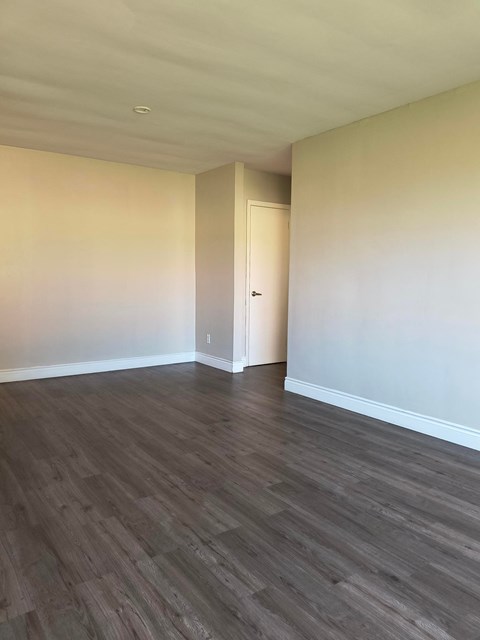 A room with a wooden floor and a white door.