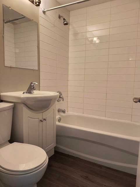 A white toilet sits next to a sink in a bathroom.