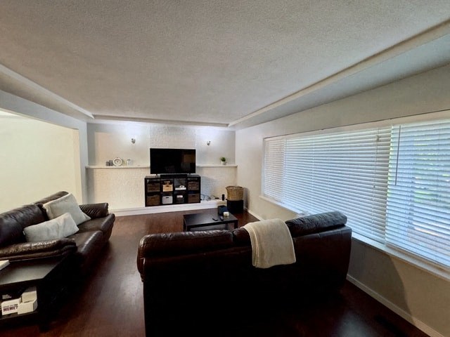 a living room with a couch and a television