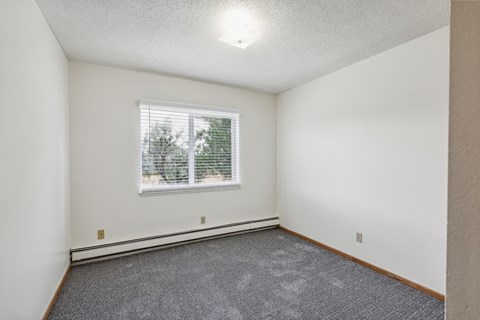 A room with a window and a grey carpet.