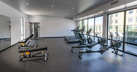 A gym with a row of treadmills and a row of weight machines.
