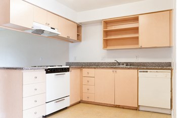 Garden View Terrace kitchen