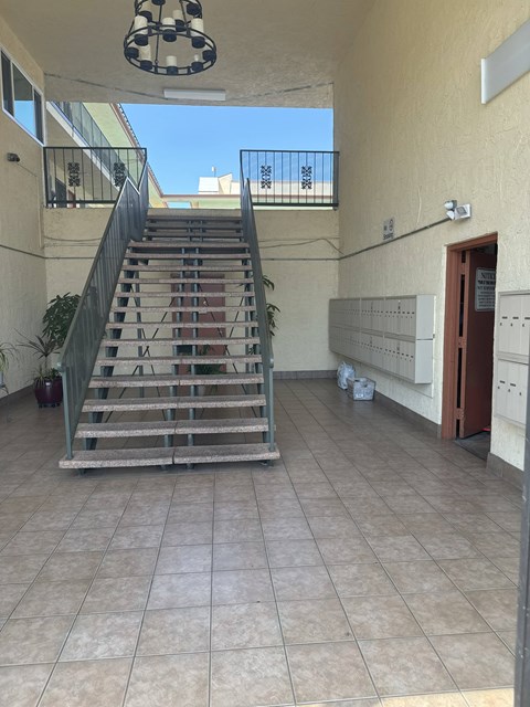 A staircase with a metal railing and a plant on the left side.