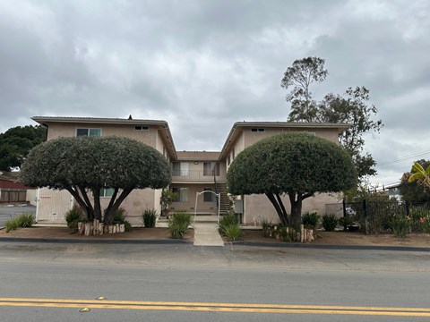 Two houses with trees in front of them.