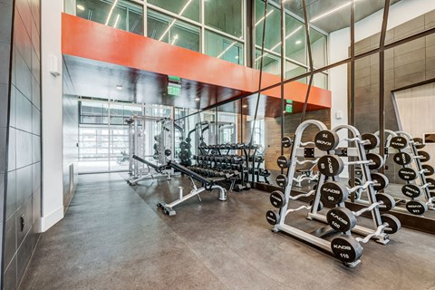 A gym with a variety of equipment including dumbbells and weight plates.