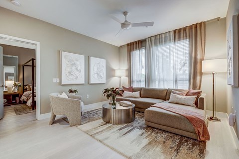 A living room with a couch, chair, and a rug.