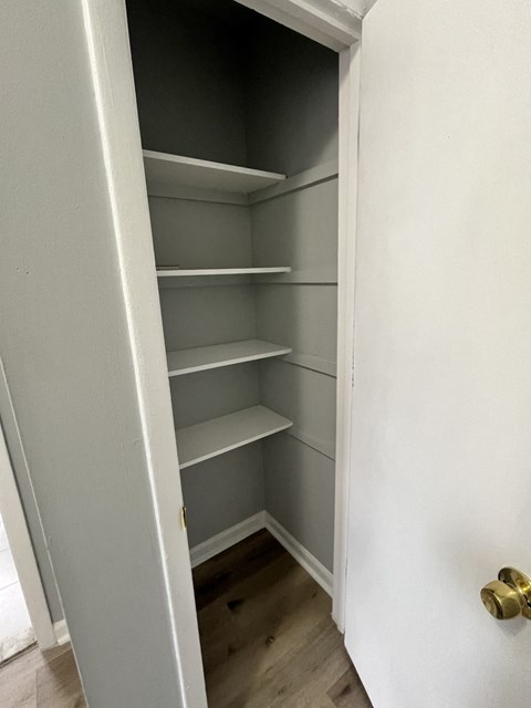 A white door with a gold handle is open to reveal a white shelving unit.