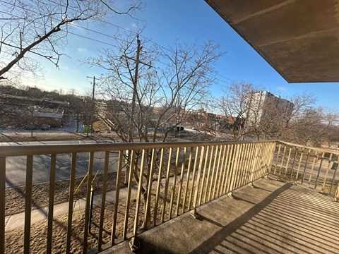 A view from a balcony with a metal railing and bare trees.