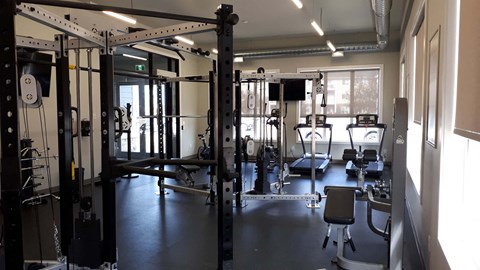 A gym with a variety of equipment including a squat rack, bench, and weights.