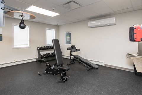 A gym room with a bench, weights, and a punching bag.