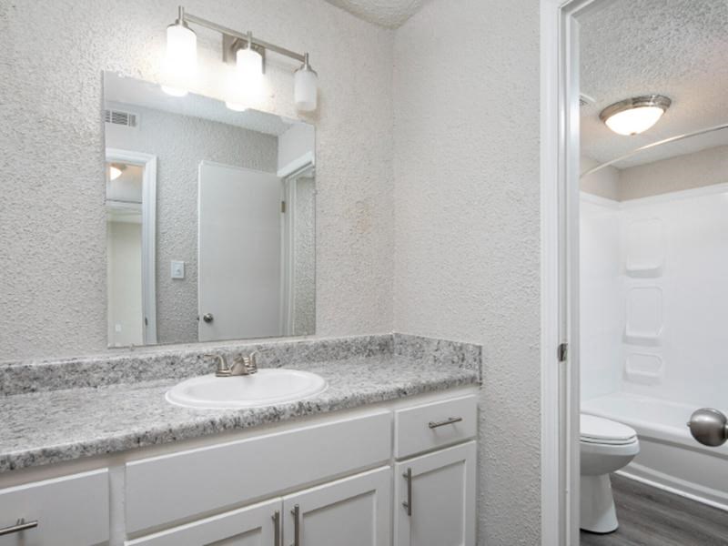 A bathroom with a sink, mirror, and toilet.
