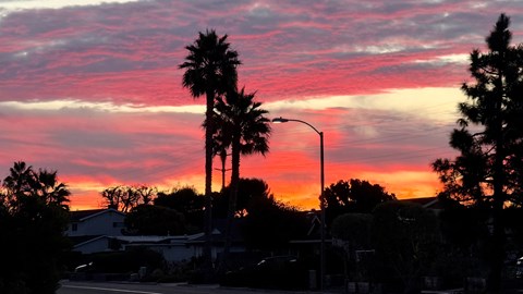 A beautiful sunset with palm trees silhouetted against the sky.