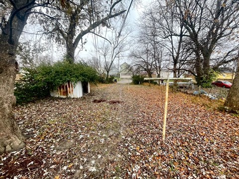 A backyard with a shed and trees.