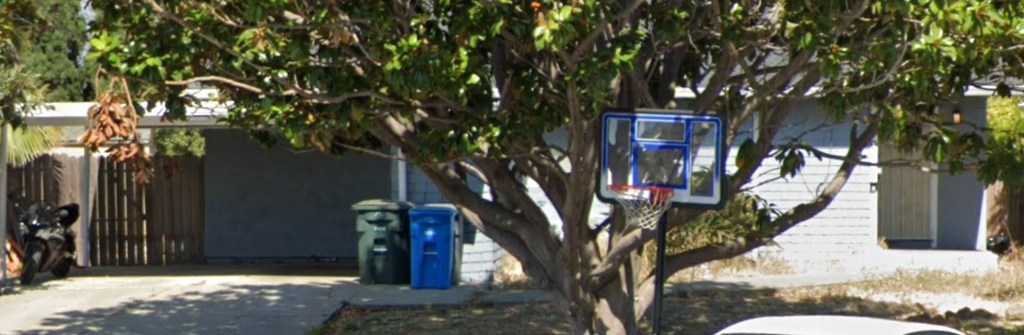 A basketball hoop is mounted on a tree in front of a house.