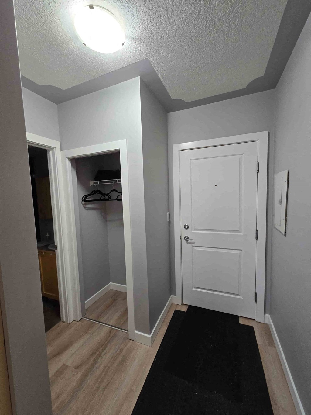 A hallway with a white door and a black mat on the floor.