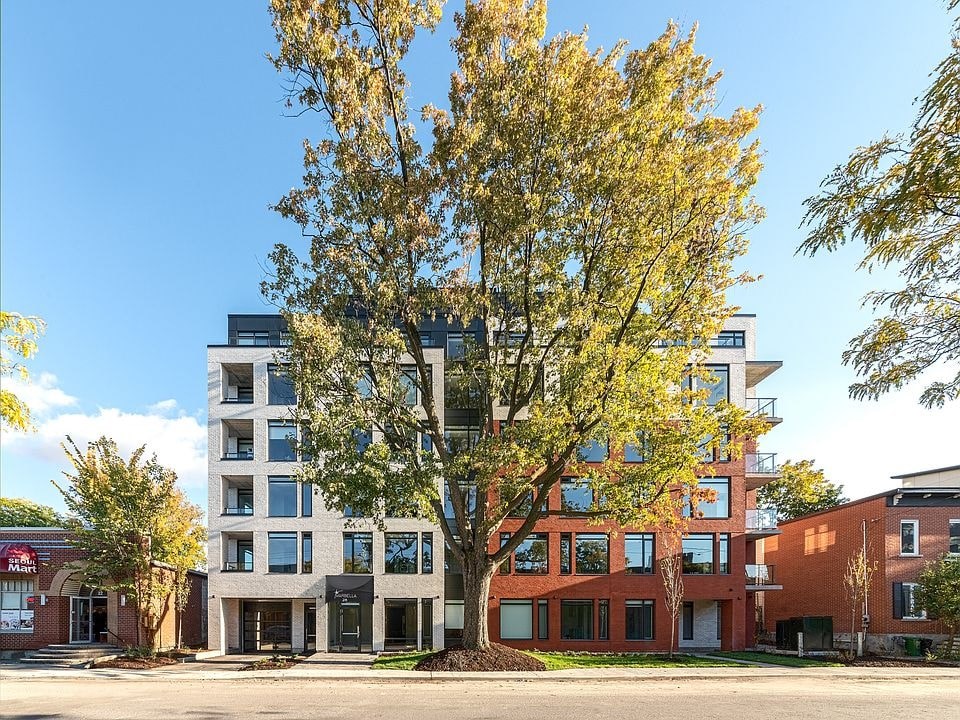 A tree with yellow leaves stands in front of a modern building.