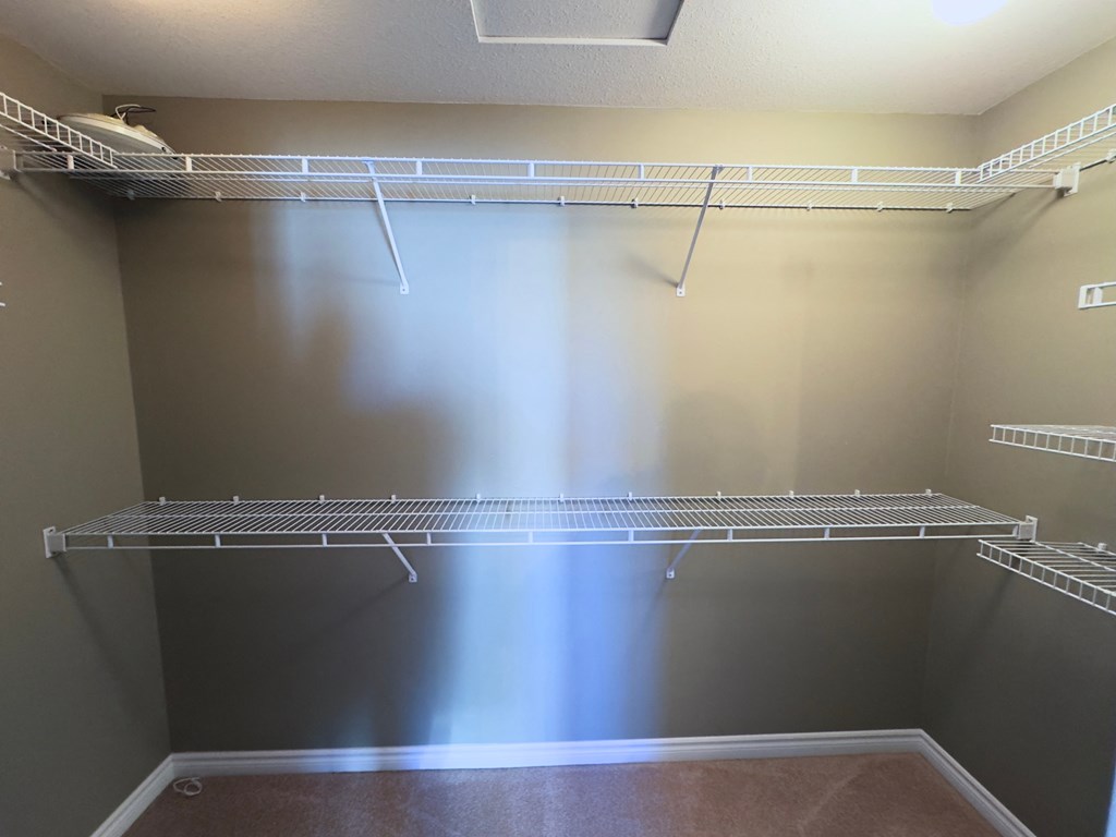 Empty walk-in closet with shelves and a carpeted floor.