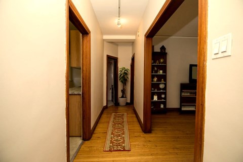 A hallway with a rug on the floor and a plant in the background.